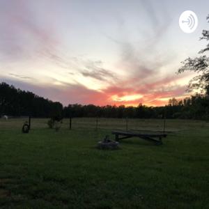 Rantings of a Writer