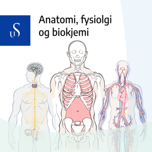 Anatomi, fysiologi og biokjemi – UiS podkast
