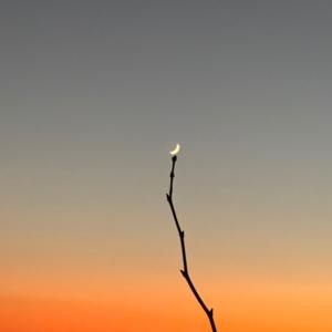 hello ज़िन्दगी