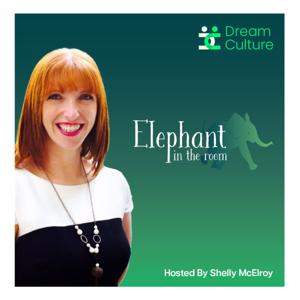 Elephant In The Room