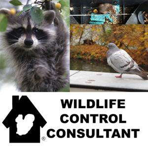 Wildlife Control Consultant