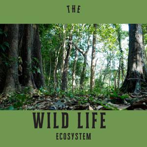 Life in the Wild Ecosystem Podcast