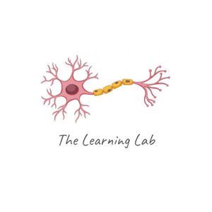 The Learning Lab