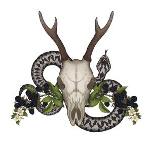 Diary Of A Folk Witch