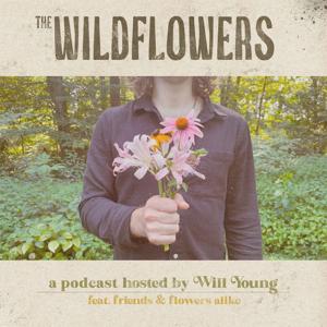 the wildflowers
