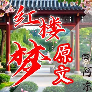 新制《红楼梦》原文演播|阿东|不老不少青年男音