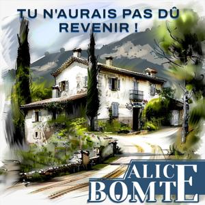 Tu n'aurais pas dû revenir ! Roman