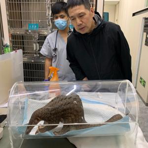 生态文明