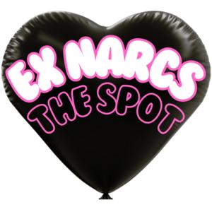 Ex Narcs The Spot
