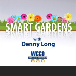 WCCO's Smart Gardens by Audacy