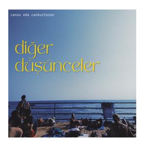 Diğer Düşünceler