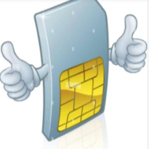 Globe Sim registration