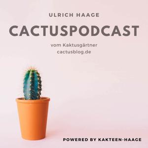 Blog Archive • Cactusblog