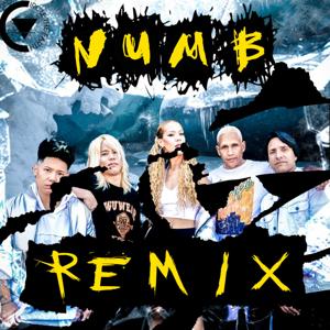 Numb (remix)