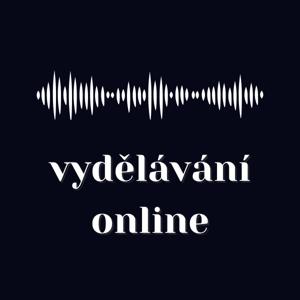 Vydělávání online