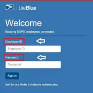 LiteBlue Login postal service usps