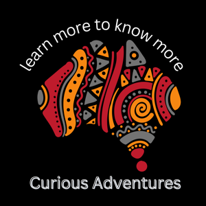 CURIOUS ADVENTURES