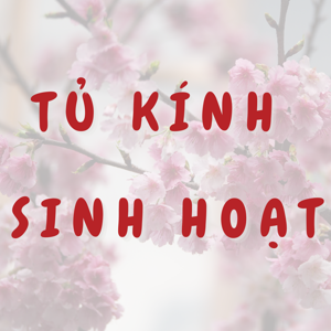 Tủ kính sinh hoạt (Th. Ba) (b)