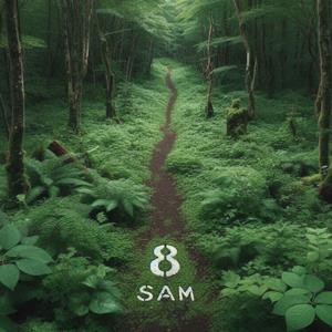 8SAM