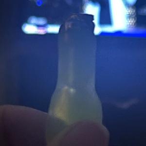 light