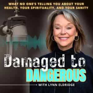 Damaged To Dangerous: What No One Is Telling You About Your Health, Your Spirituality, Your Sanity