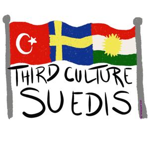 Third Culture Suedis