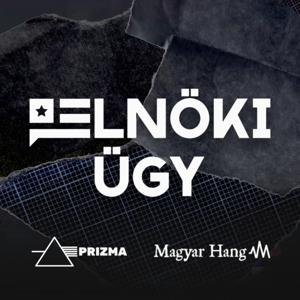 Elnöki ügy