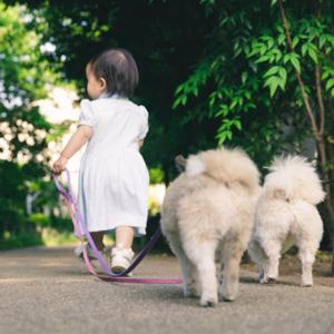 Eishuの雑学王子channel