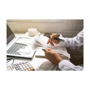 Denver Business Insights