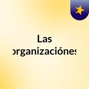 Las organizaciónes
