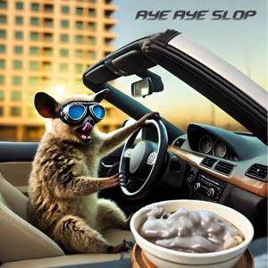 Aye-Aye Slop