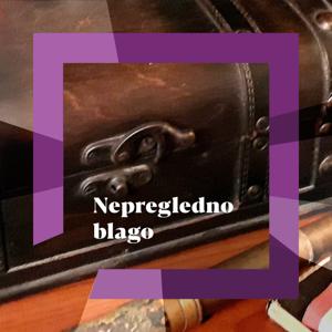 Nepregledno blago