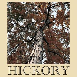 The HICKORY Podcast