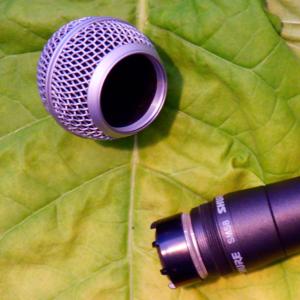Is This Mic Open