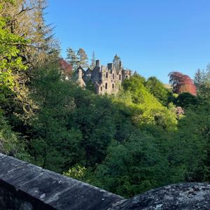 How to Restore a Castle