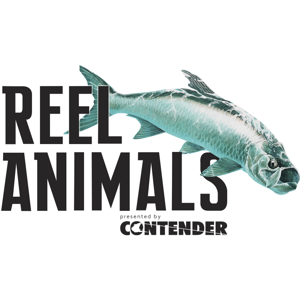 Reel Animals by Mike Anderson