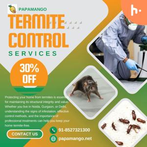Effective termite control in Noida