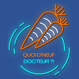 Quoi d'neuf Docteur ?! - Le premier podcast d'histoire qui ne parle pas d'histoire