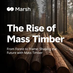 The Rise of Mass Timber