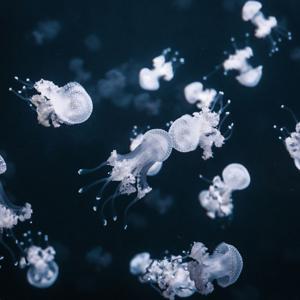 Paarbeziehung verbessern