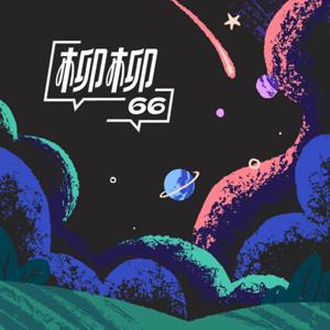柳柳 66