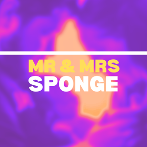 Mr & Mrs Sponge