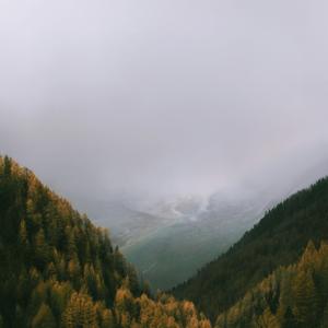 Habilidades gerenciales