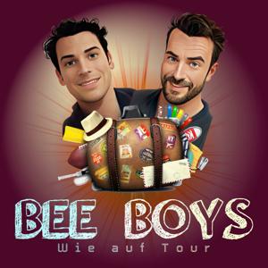 Bee Boys - Wissen, das Hängenbleibt!