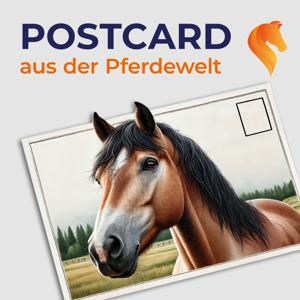 Postcard aus der Pferdewelt
