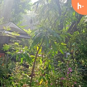 Artists Journey - REBIRTHING