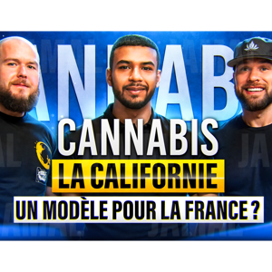 Georges Lazan - Cannabis : la Californie, un modèle pour la France ? Avec Caleb Counts et Ted Lidie