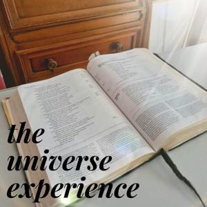 The universe experience