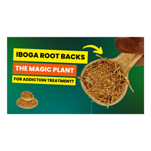 This Plant Is Making People Go Crazy! (Iboga Root Bark Revealed)