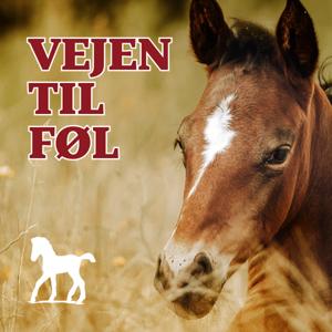 Vejen til Føl